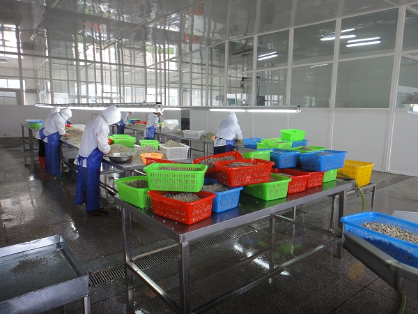 案例展示