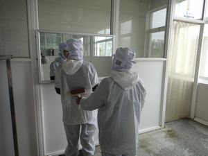 案例展示